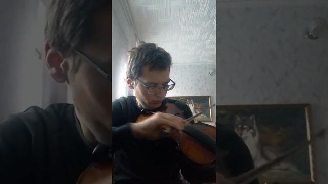 Bmth: can you feel my heart vionin cover смотреть онлайн