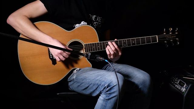 Takamine NPT 510 2