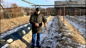 Глубина посадки, саженцев винограда.  Часть 1.