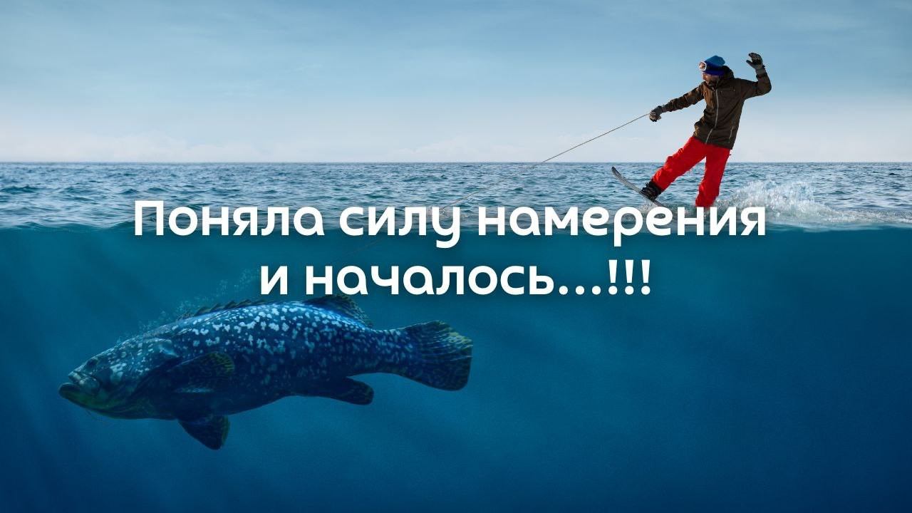 Найти свое предназначение и открыть собственное дело.