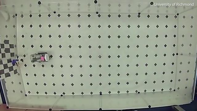 Video: Rats learn how to drive tiny cars in order to collect food смотреть онлайн