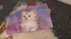 How To Speak Chinese