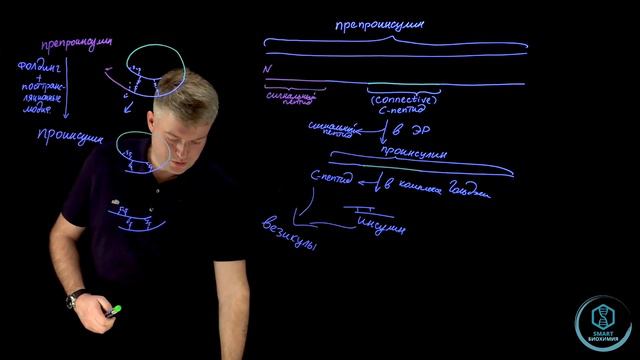 SmartБиохимия - Марафон - День 2. Синтез инсулина смотреть онлайн
