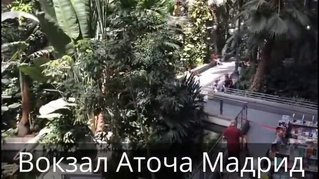 Поезд Мадрид - Аликанте - как добраться в Аликанте из Мадрида