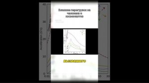 Влияниеперегрузокначеловекаикосмонавтов