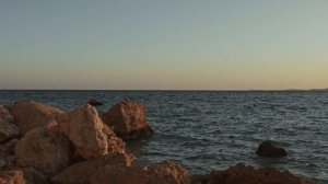 ТЕЩА МЕНЯ СОБЛАЗНИЛА И МНЕ ПРИШЛОСЬ С НЕЙ... | Теща и зять Истории из жизни