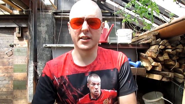 Шингарты