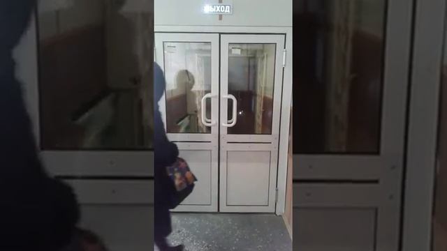 Маятниковая алюминиевая двухстворчатая Дверь