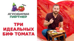 ТРИ ИДЕАЛЬНЫХ БИФ-ТОМАТА
