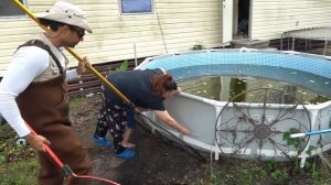 DRAINING POOL FILLED with EXOTIC FISH!