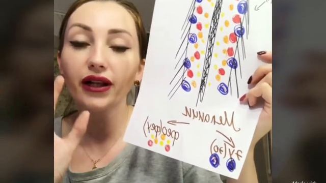 Выпуск 4. "Строение волоса, меланины и их виды" смотреть онлайн