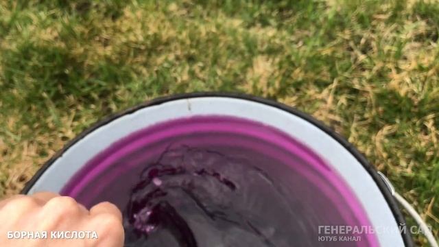 Уход за клубникой весной / Полейте этим в апреле мае до цветения! Ягод будет в разы больше! смотреть онлайн