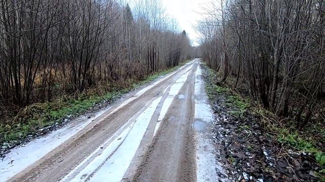 Мусор в лесу смотреть онлайн