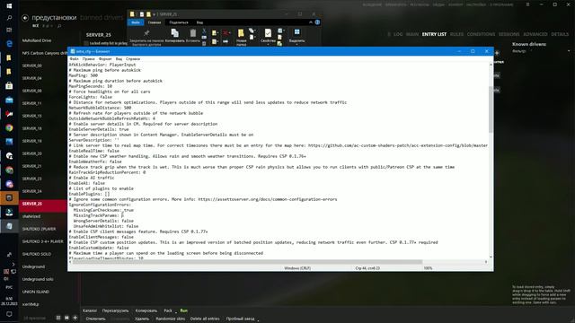 assetto corsa не запускается локальный сервер смотреть онлайн