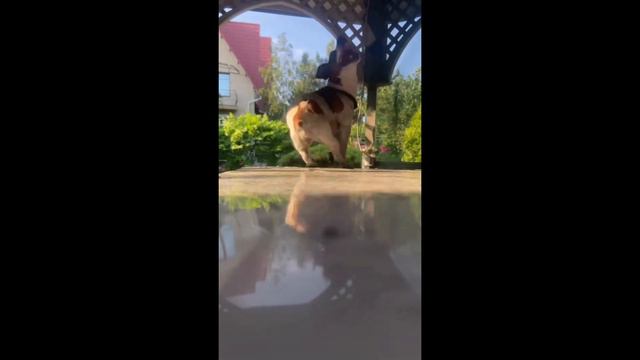 К Л И П НА 10к подписчиков В тик токе 🥰 смотреть онлайн