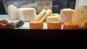 Частная сыроварня Сырный дар в Евпатории.