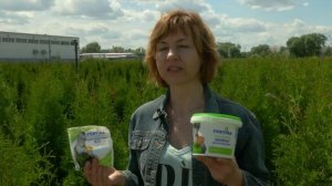 Фертика: Удобрение для хвойных