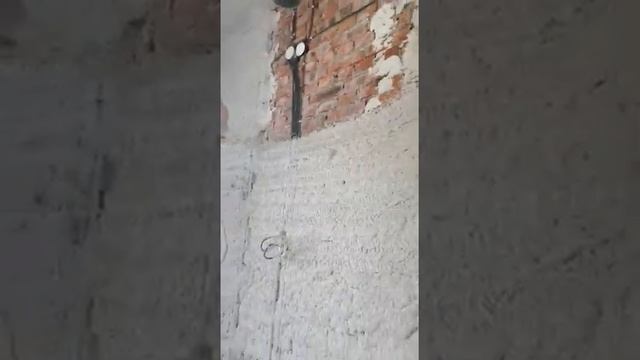 калета 5