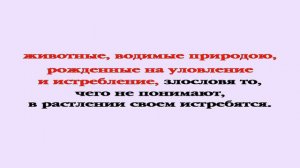 Видеобиблия. 2-е Послание Петра. Глава 2