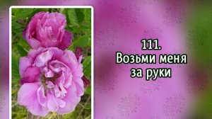 Гимны надежды 111 Возьми меня за руки (-)