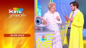 Жить здорово! Выпуск от 16.08.2023