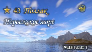 ✮ Норвежское море ✮ Поллак ✮