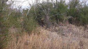 Водители - роман 1 часть, глава 1,2,3 (Анатолий Рыбаков)