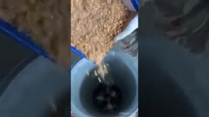 Бытовой гранулятор кормов для птицы рыбы животных модель 160