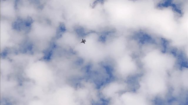Не увидели секвойи в национальном парке Секвойя, 6й день путешествия по США, горная Калифорния