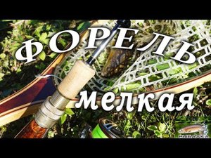 Форель мелкая. Рыбалка в Ленинградской области. Май 2020.