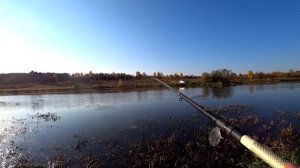 Река Чусовая. Донки на хищника. Рыбалка