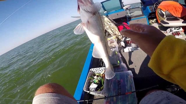 РАЗДАЧА судака на приманки NARVAL часть 2 смотреть онлайн