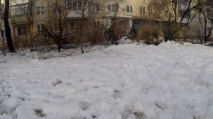 Как поймать синицу Ловим синичку на колбасу