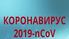 Коронавирус 2019-nCoV