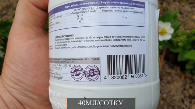 Підживлення ягідних. Чим? Як? Навіщо?