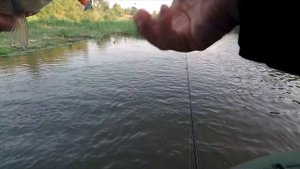 Сплав по реке Самара