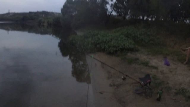 Кривоборье и Дивногорье 2020 ! Река Малая Сосна и Озерна ! смотреть онлайн