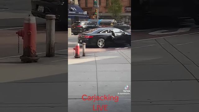 NYC Pit Maneuver Carjack Robbery