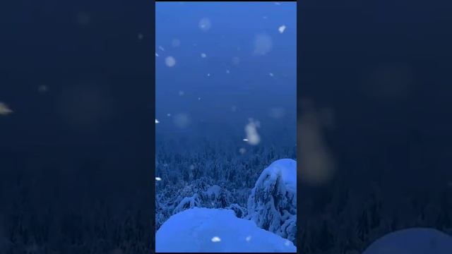 "Снежная мозаика" Лилия Филь(Березкина)