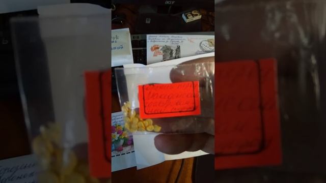 Посылки с семенами от садоводов. Горькие перцы. Огурец лимон. Люффа. Бенинказа. Долихос. смотреть онлайн