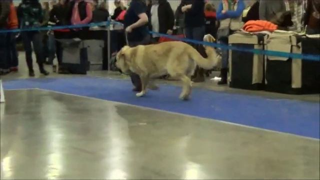 Евразия 2 2015 Юниоры смотреть онлайн