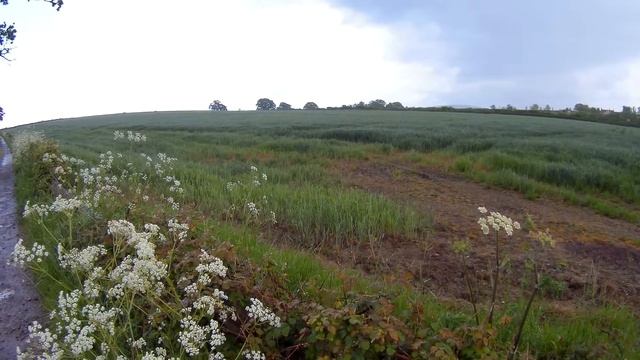 Sneeky Cam Is.....Git 2 Pro....Nice смотреть онлайн