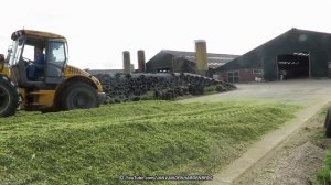 Mais hakselen | Ford 8730 + John Deere 7300 + New Holland T7.225 | E. Smids | 2018