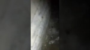 golf 5  1.4 не работает педаль газа, не набирает обороты