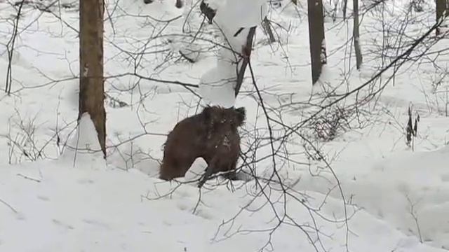 MVI 2638 смотреть онлайн