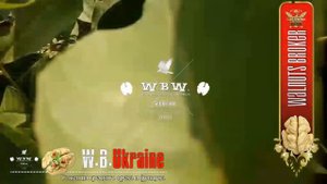 Что посадить возле грецких орехов на 2020 год. Walnuts Broker