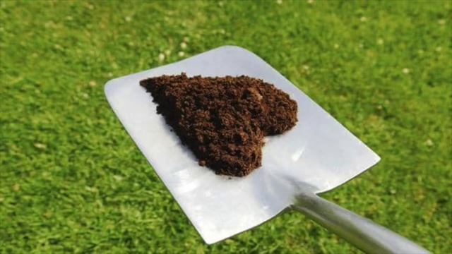 хосты смотреть онлайн