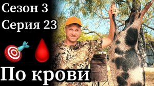 Охота с луком в Техасе. Сквозное попадание. Поиск по крови.