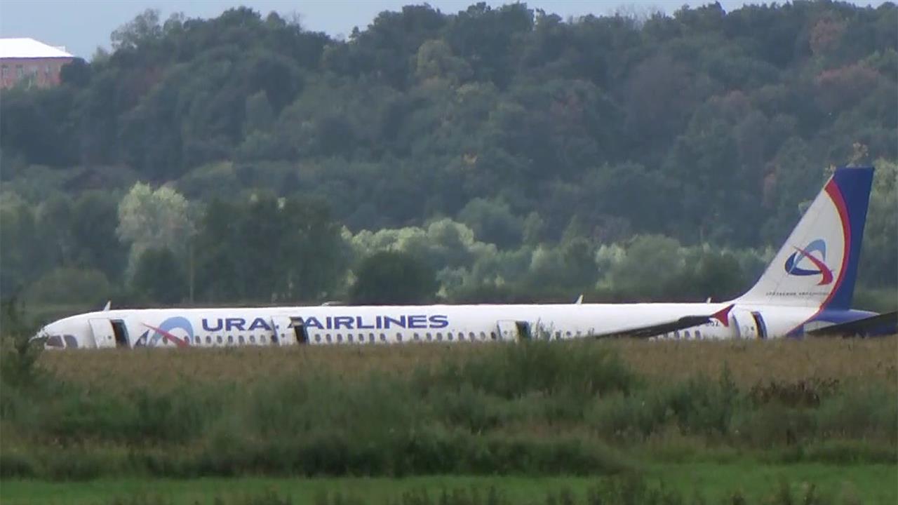 Аэробус 321 кукурузное поле. Самолёт на кукурузном поле. Уральские авиалинии кукурузное поле. Самолёт а321 уральские авиалинии. Уральские авиалинии кукурузное поле.