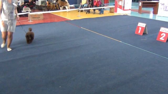 Иркутск  Моно 15.04.2017 ТАКАЯ ОДНА БАЙКАЛЬСКАЯ ЗВЕЗДОЧКА смотреть онлайн